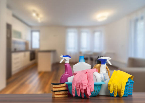 Home Cleaning Services in Velacherry