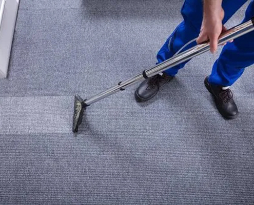 Area Rug Cleaning Services